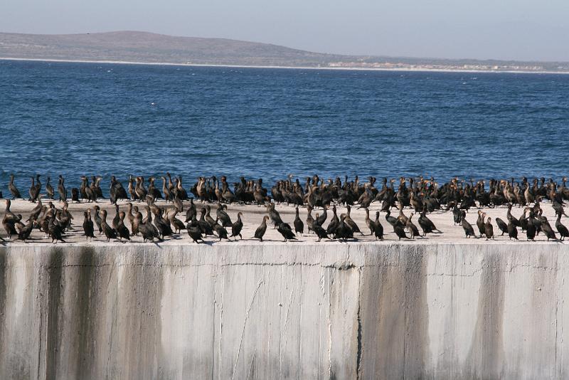 Robben Island (40).jpg